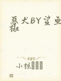 恶犬BY鲨鱼辣椒