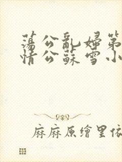 荡公乱妇第1章情公苏雪小说