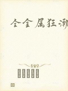 全金属狂潮小说