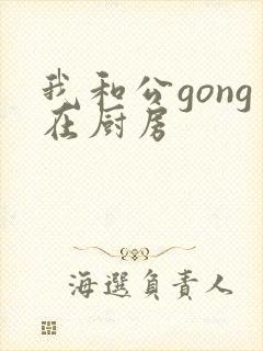 我和公gong在厨房
