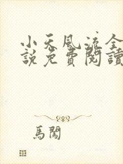 小天风流全集小说免费阅读