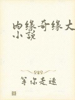 内缘奇缘大团圆小说
