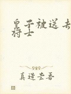 皇子被送去犒劳将士