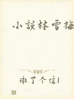 小说林雪梅