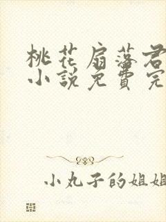 桃花扇落君不还小说免费完整版