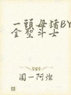 一头母猪BY黄金圣斗士