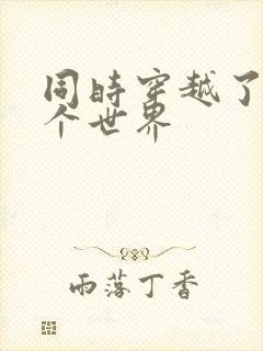 同时穿越了99个世界