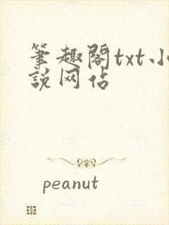 笔趣阁txt小说网站