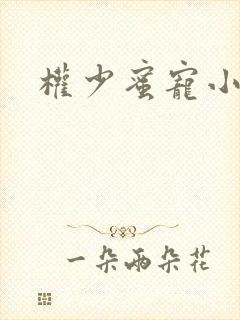 权少蜜宠小娇妻