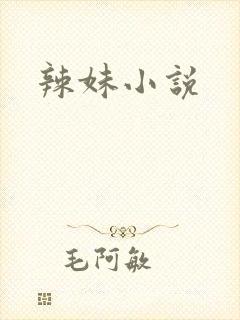 辣妹小说