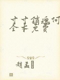 寸寸销魂何生祥全本免费