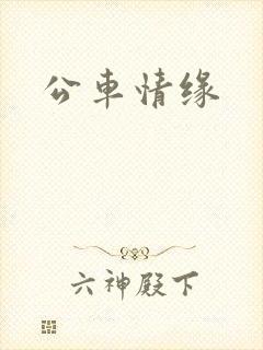 公车情缘