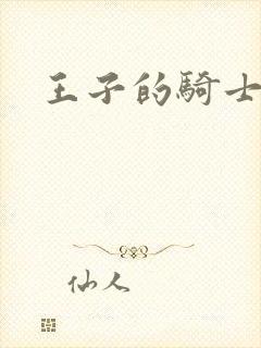 王子的骑士小说