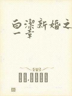 白洁新婚之夜第一章