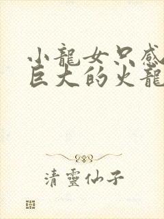小龙女只感觉那巨大的火龙枪