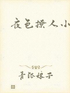 夜色撩人小说