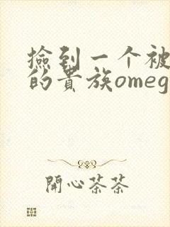 捡到一个被抹布的贵族omega