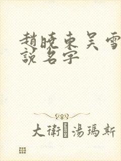 赵晓东吴雪晴小说名字