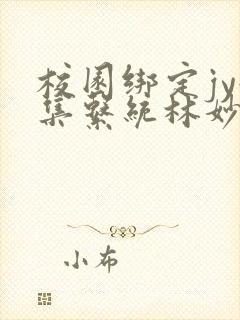 校园绑定jy收集系统林妙妙