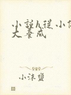 小说h从小做到大养成