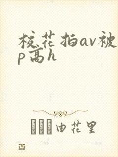 校花拍av被np高h