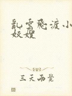 乱云飞渡小说之姣嫂