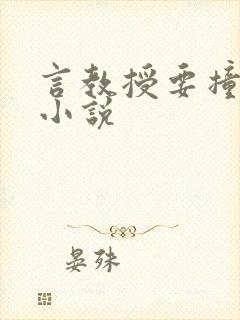 言教授要撞坏了小说