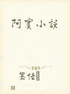 阿宾小说