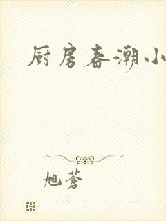 厨房春潮小说
