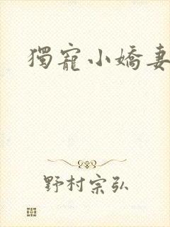 独宠小娇妻