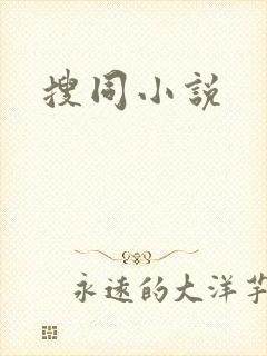 搜同小说