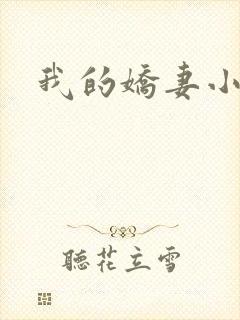 我的娇妻小说