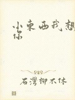 小东西我想弄坏你