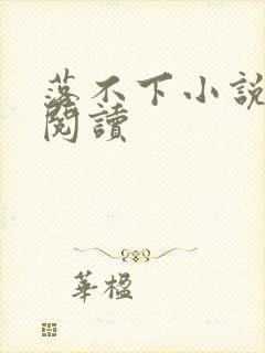 落不下小说免费阅读