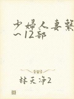 少妇人妻系列1～12部