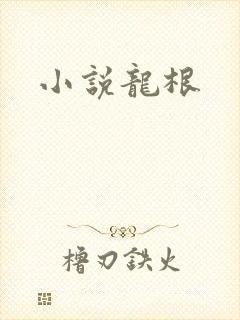 小说龙根