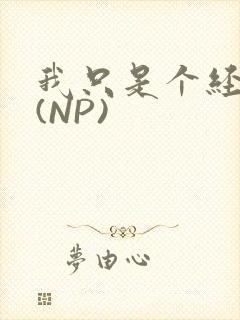 我只是个经纪人(NP)