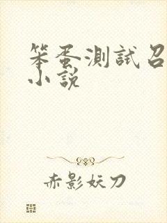 笨蛋测试召唤兽小说