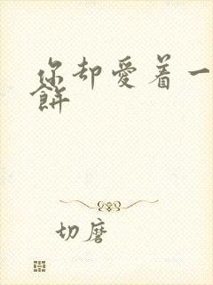 你却爱着一个烧饼