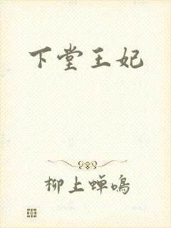 下堂王妃