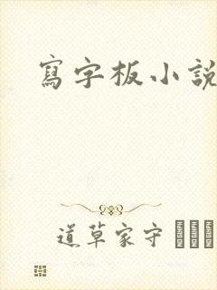 写字板小说