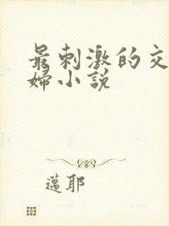 最刺激的交换夫妇小说