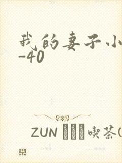 我的妻子小谨1-40