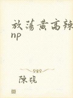 放荡黄高辣h文np