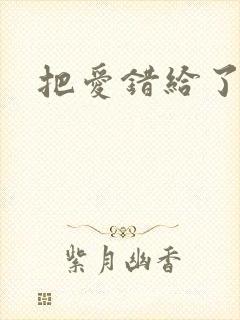 把爱错给了你