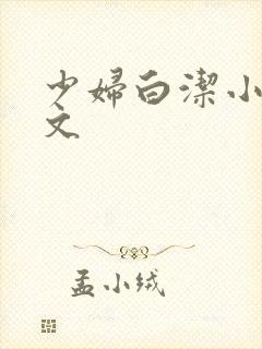 少妇白洁小说全文