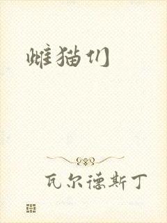 雌猫们