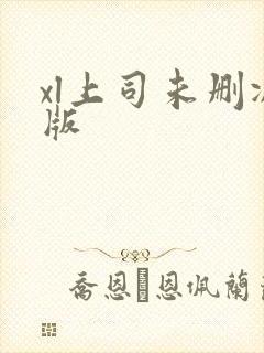 xl上司未删减版