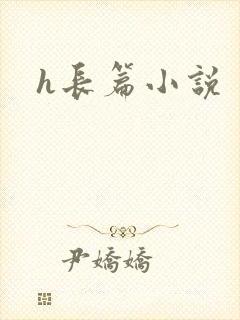 h长篇小说