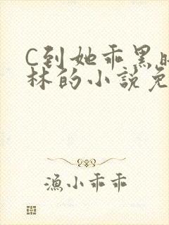C到她乖黑暗森林的小说免费